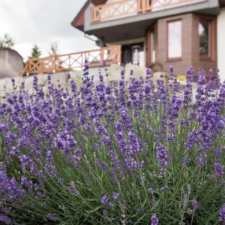 Brenna-dom Z Basenem, Sauna I Jacuzzi Dom wakacyjny Brenna